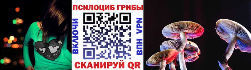 Галлюциногенные грибы MAGIC MUSHROOMS  Лебедянь 